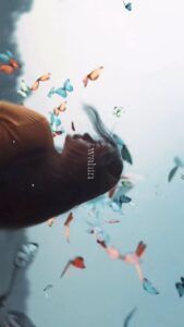 Dil Lagana Mana Tha Capcut Template