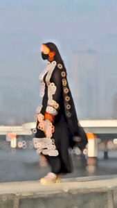 Mai Tere Ishq Mein Capcut Template